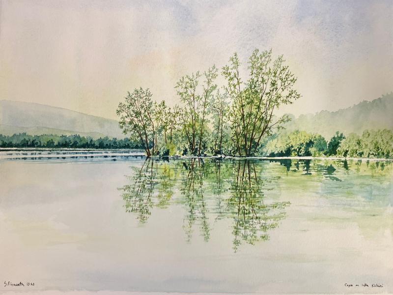 Copse on Lake Kerkini, 40x28cm